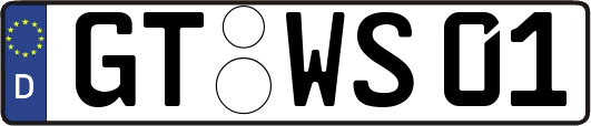 GT-WS01