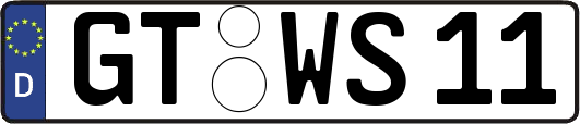GT-WS11
