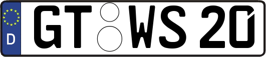 GT-WS20