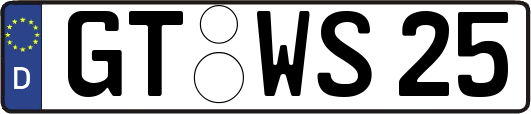 GT-WS25