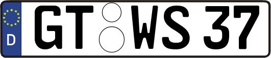 GT-WS37