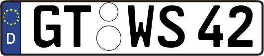 GT-WS42