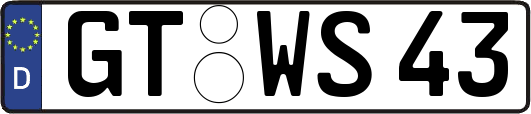 GT-WS43