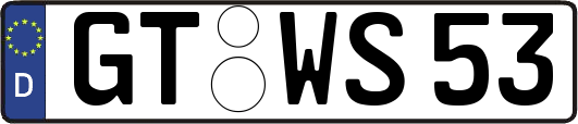 GT-WS53