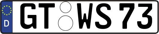 GT-WS73
