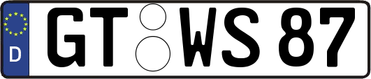 GT-WS87