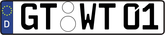 GT-WT01