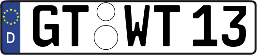 GT-WT13