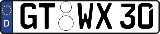 GT-WX30