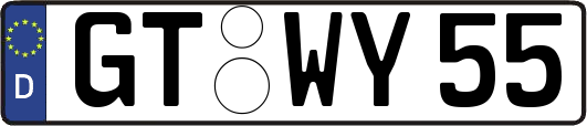 GT-WY55