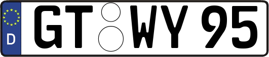 GT-WY95