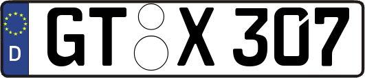 GT-X307