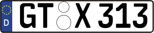 GT-X313