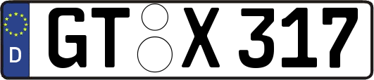GT-X317