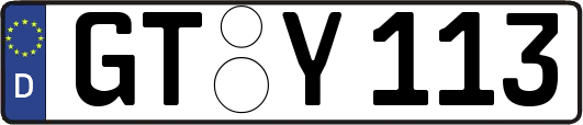 GT-Y113