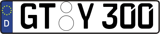 GT-Y300