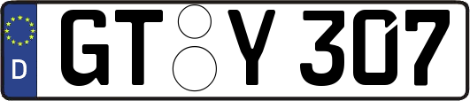 GT-Y307