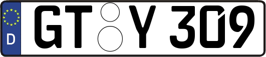 GT-Y309