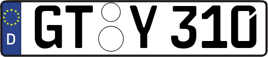 GT-Y310