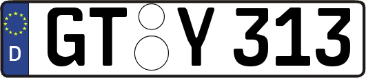 GT-Y313