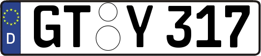 GT-Y317