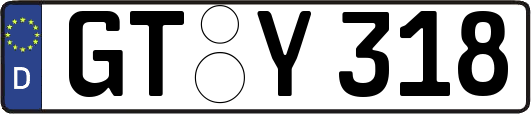 GT-Y318