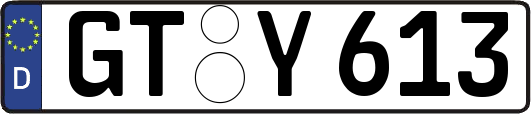 GT-Y613