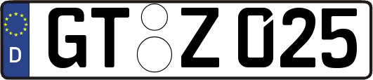 GT-Z025