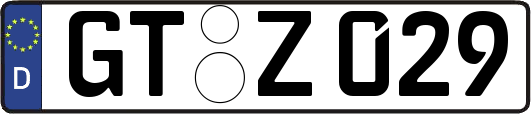 GT-Z029