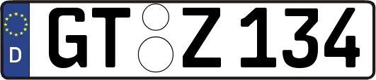 GT-Z134