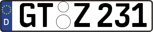 GT-Z231