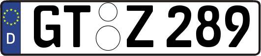 GT-Z289