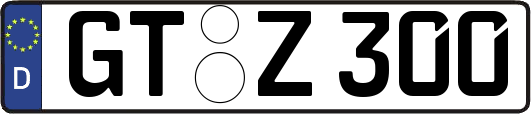 GT-Z300