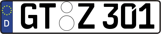 GT-Z301