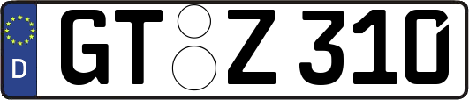 GT-Z310