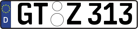 GT-Z313