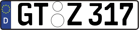 GT-Z317
