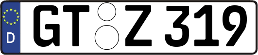 GT-Z319