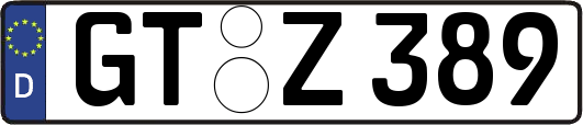 GT-Z389