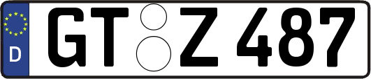 GT-Z487