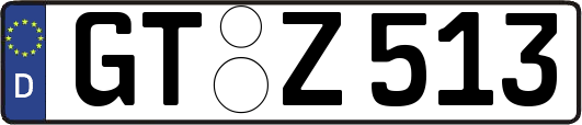 GT-Z513