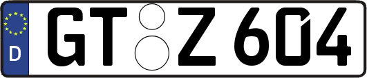 GT-Z604
