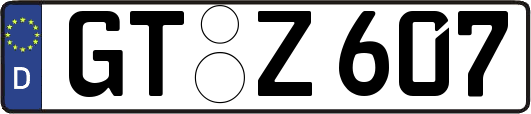 GT-Z607