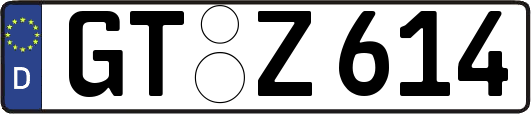 GT-Z614