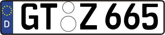 GT-Z665