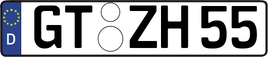 GT-ZH55