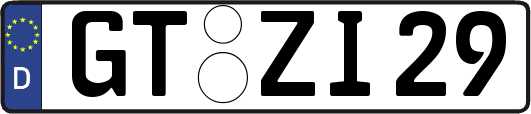 GT-ZI29