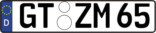 GT-ZM65