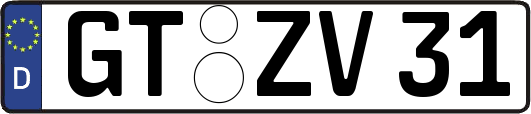 GT-ZV31