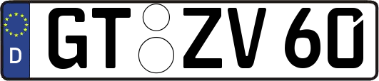 GT-ZV60